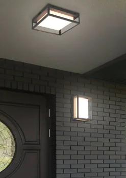 Trio Lighting LED kattovalaisin Witham antrasiitti