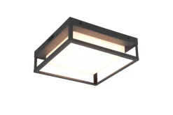 Trio Lighting LED kattovalaisin Witham antrasiitti