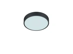 Trio Lighting LED kattovalaisin Waco 30 cm mattamusta