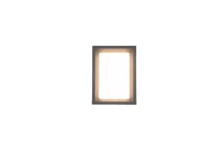 Trio Lighting LED seinävalaisin Witham antrasiitti