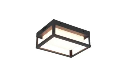 Trio Lighting LED seinävalaisin Witham antrasiitti