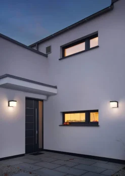 Trio Lighting LED seinävalaisin Yangtze antrasiitti