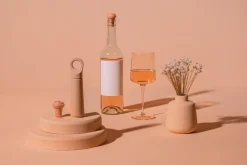 Vacuvin viinipumppu ja korkki Loop Terra