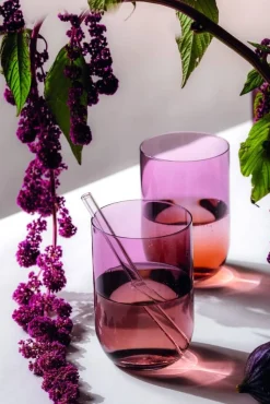 Villeroy&Boch Like Juomalasisetti 8x12 cm 0,39l Grape 2-os.