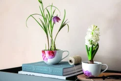 Villeroy&Boch Rose Garden aamiaiskuppi 0,45l