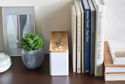 Yamazaki korurasia Rin kolme osaa valkoinen