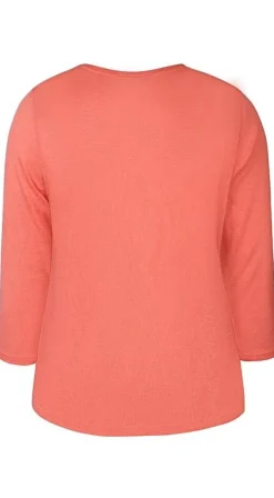 Zhenzi neuletakki Agar170