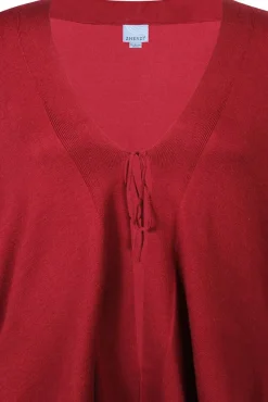 Zhenzi neuletakki Kogle