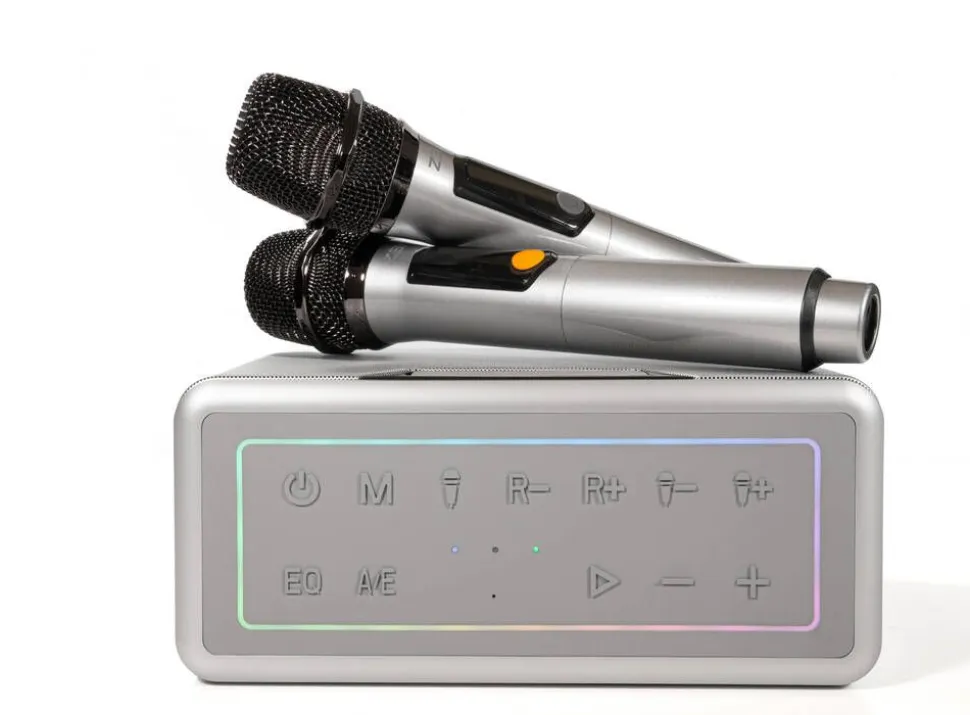Z3N karaokekaiutin Party B10 ja mikrofonit