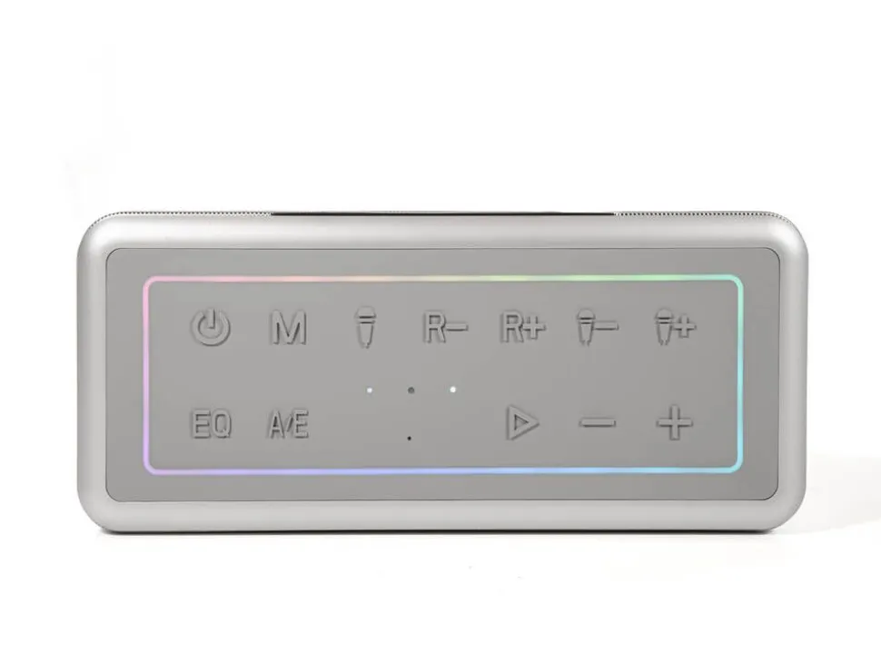 Z3N karaokekaiutin Party B10 ja mikrofonit